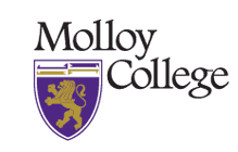 molloy college accelerated nursing program information